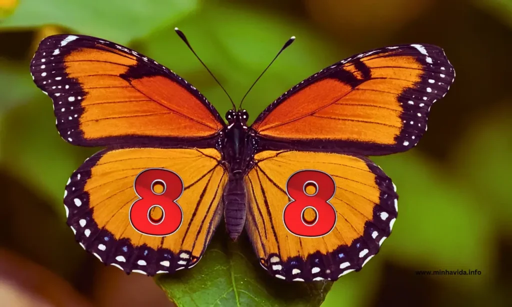 Como se conectar com a energia da borboleta 88